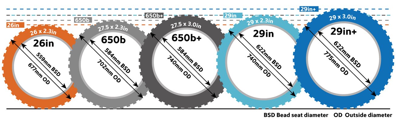 Which MTB wheel size?
