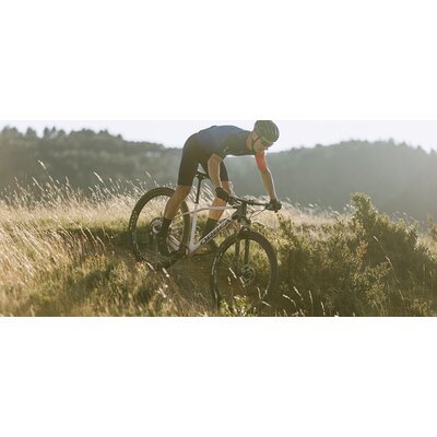 Orbea Alma