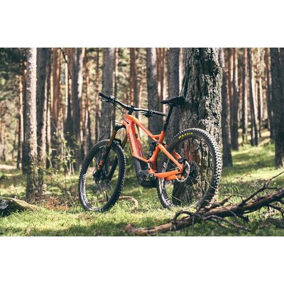 Orbea Wild FS