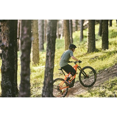 Orbea Wild FS