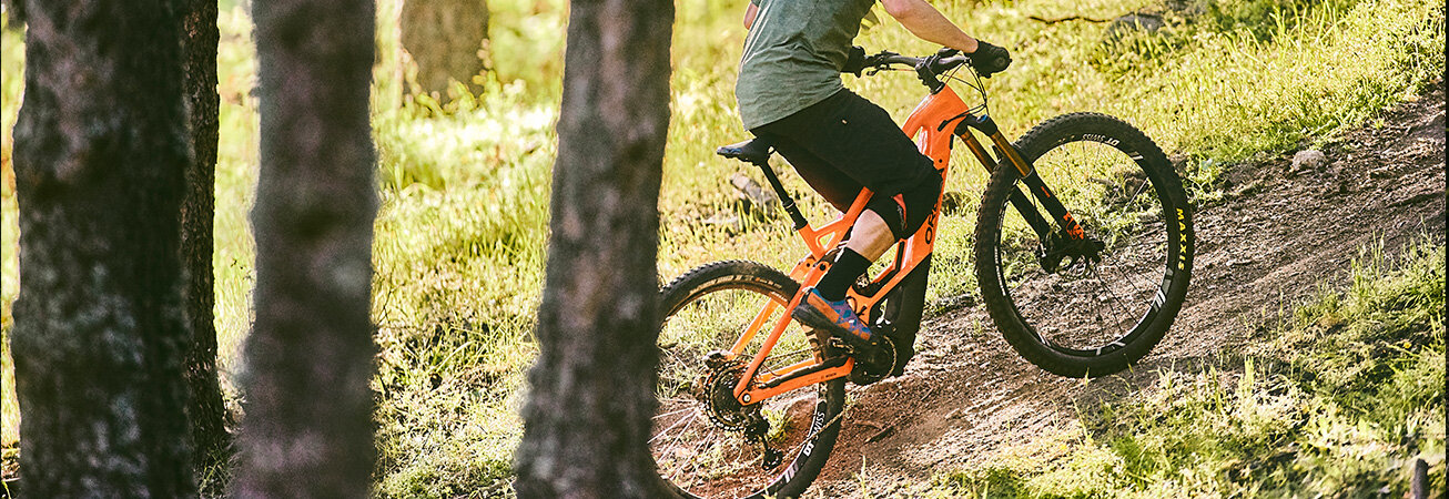 Orbea Wild FS