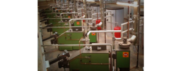 HDG Biomass boiler array
