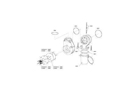De ashing system