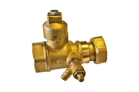 Brass check valve