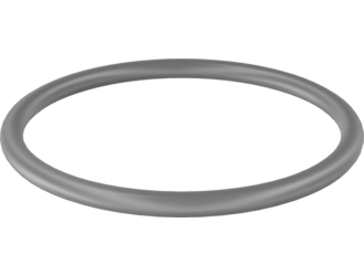 O ring seal