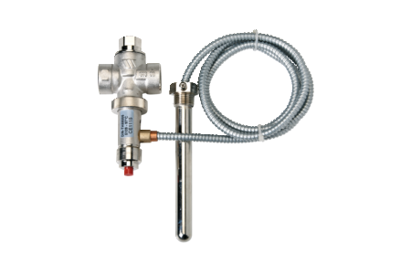 Temperature probe with valve