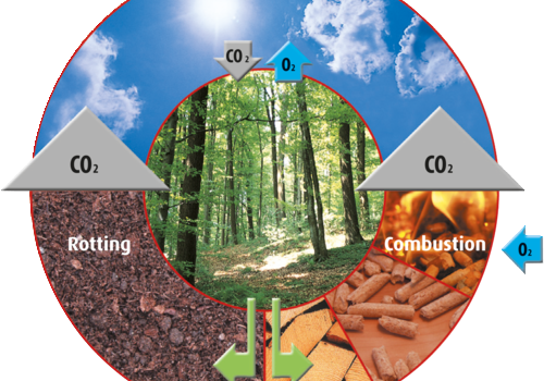 The Natural Cycle