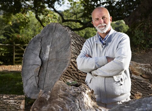Charles Martel with tree stump