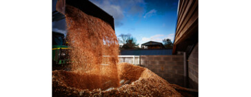 Filling a fuel store with wood chip