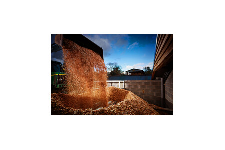 Filling a fuel store with wood chip