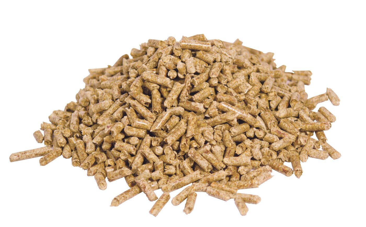 Pellet wood fuel