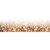 Wood chip biomass fuel