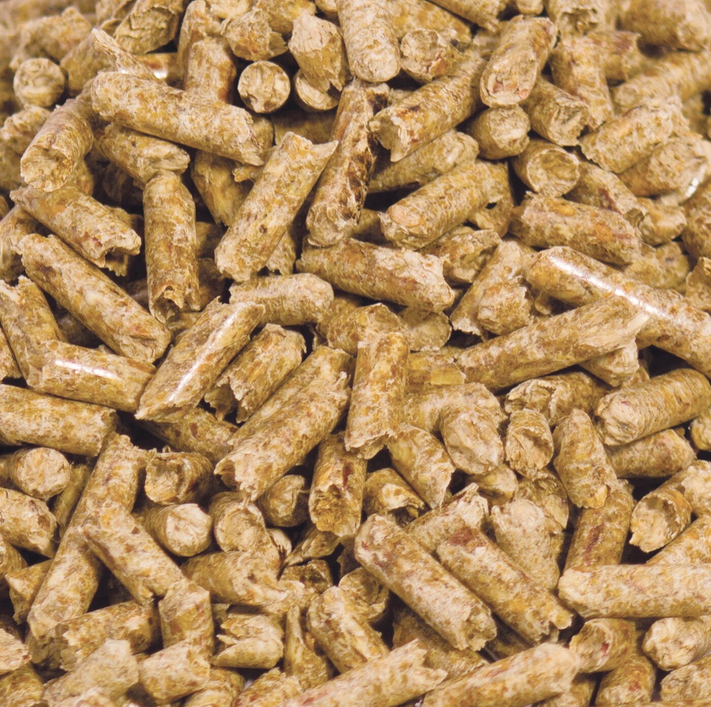 Wood pellet biomass fuel
