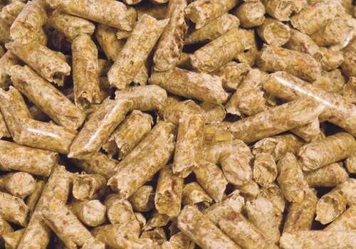 Wood pellet biomass fuel