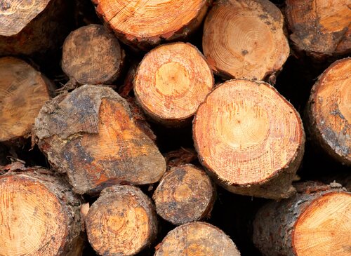 Wood log biomass fuel
