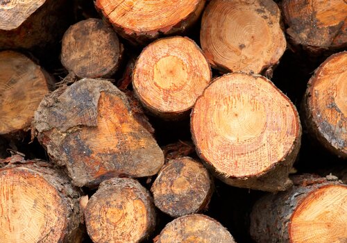 Wood log biomass fuel