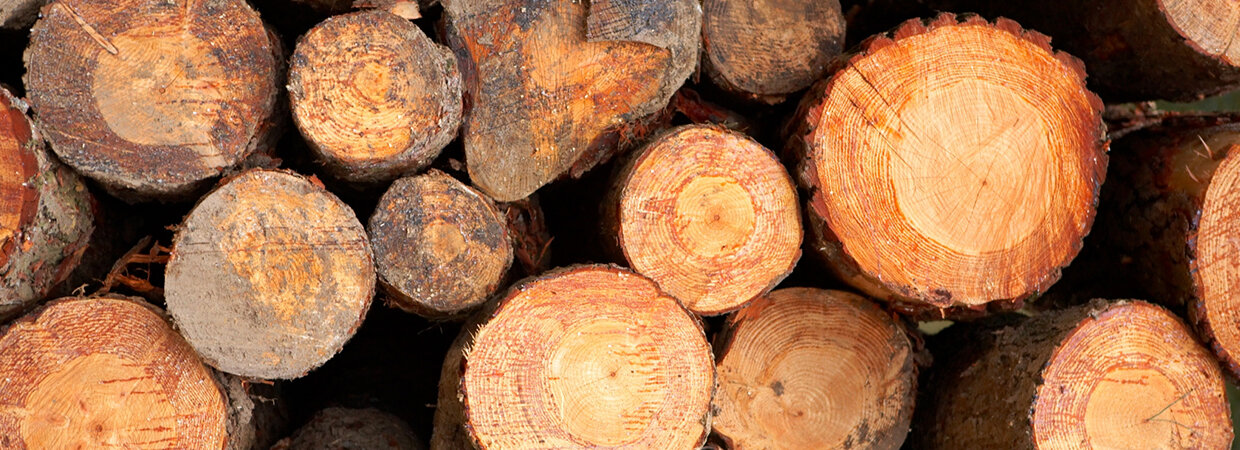 Wood log biomass fuel