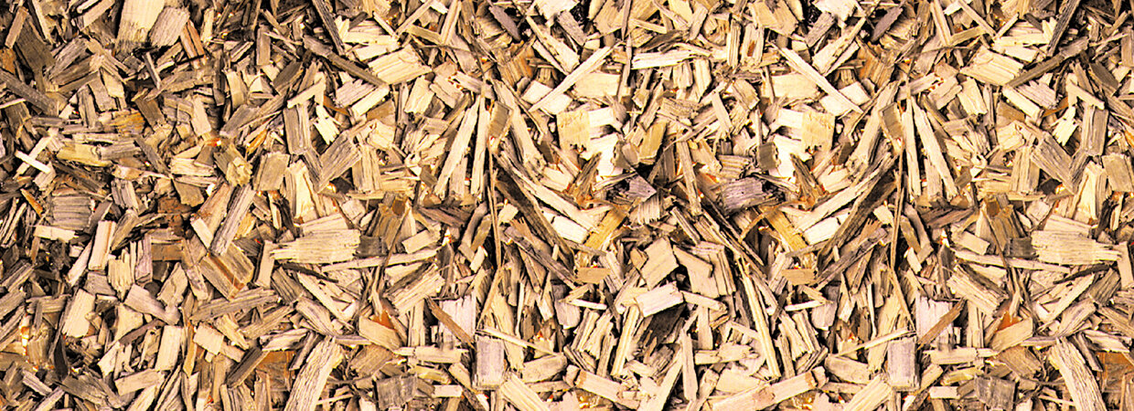 Wood chip biomass fuel