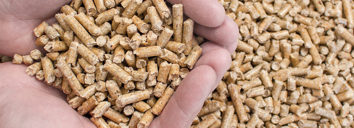 Wood pellet biomass fuel