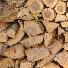 Split fire wood logs