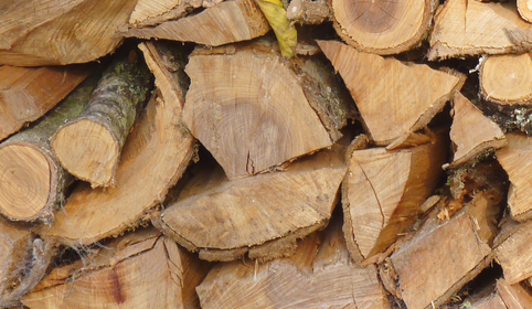 Split fire wood logs