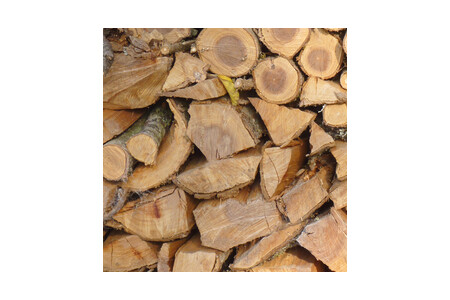 Split fire wood logs