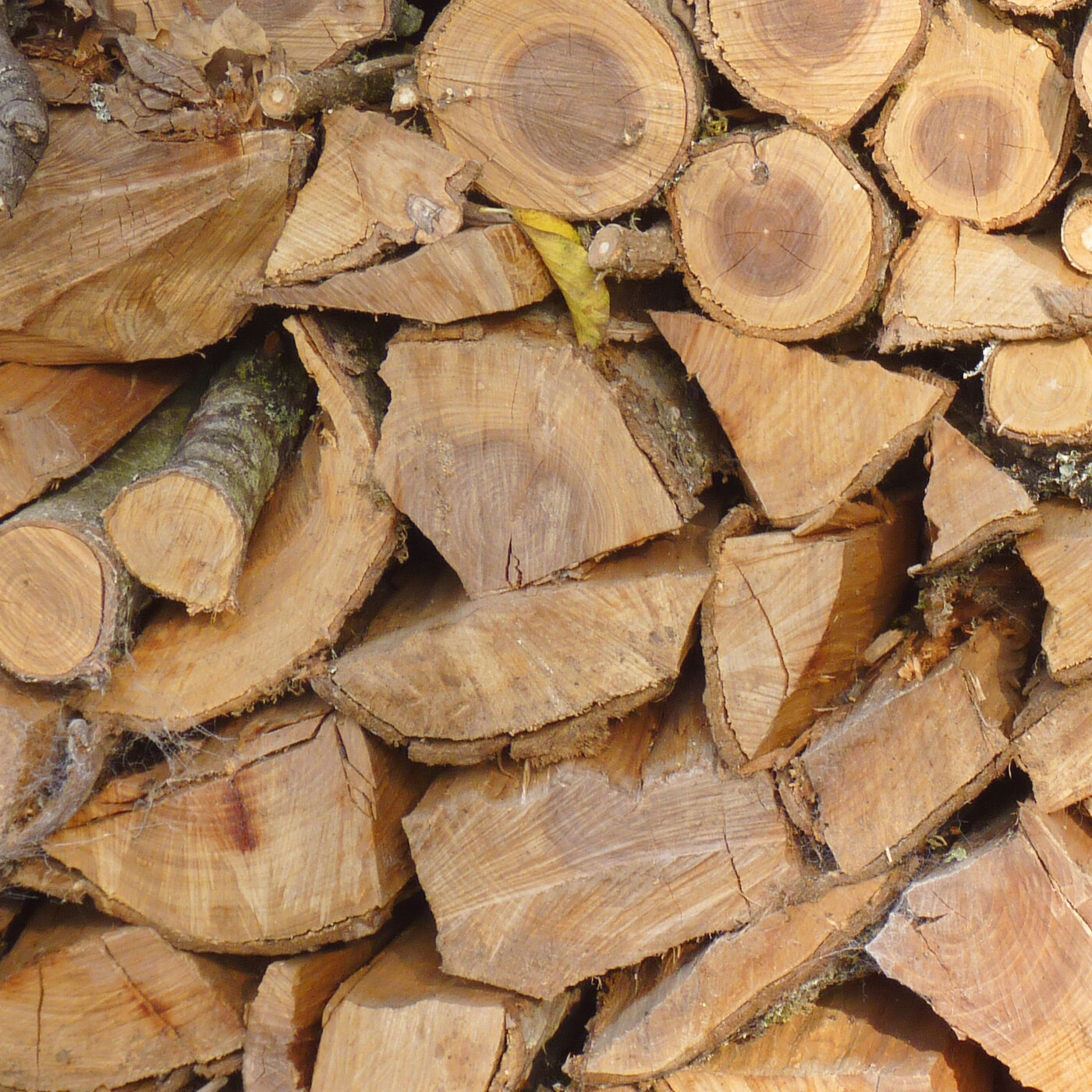 Split fire wood logs