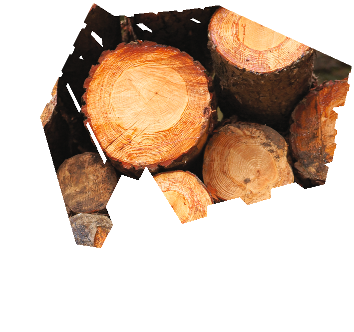 Wood log fuel, fire wood