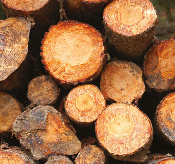 Wood log fuel, fire wood