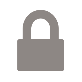 Secure icon